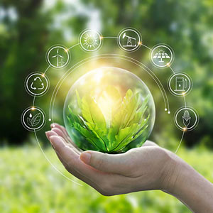 Green Future: Tree Plantation Drive by ITGP